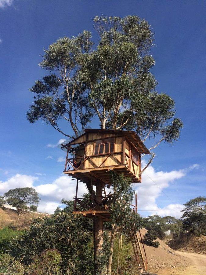 מלון קיטו Nayon Xtreme Valley מראה חיצוני תמונה